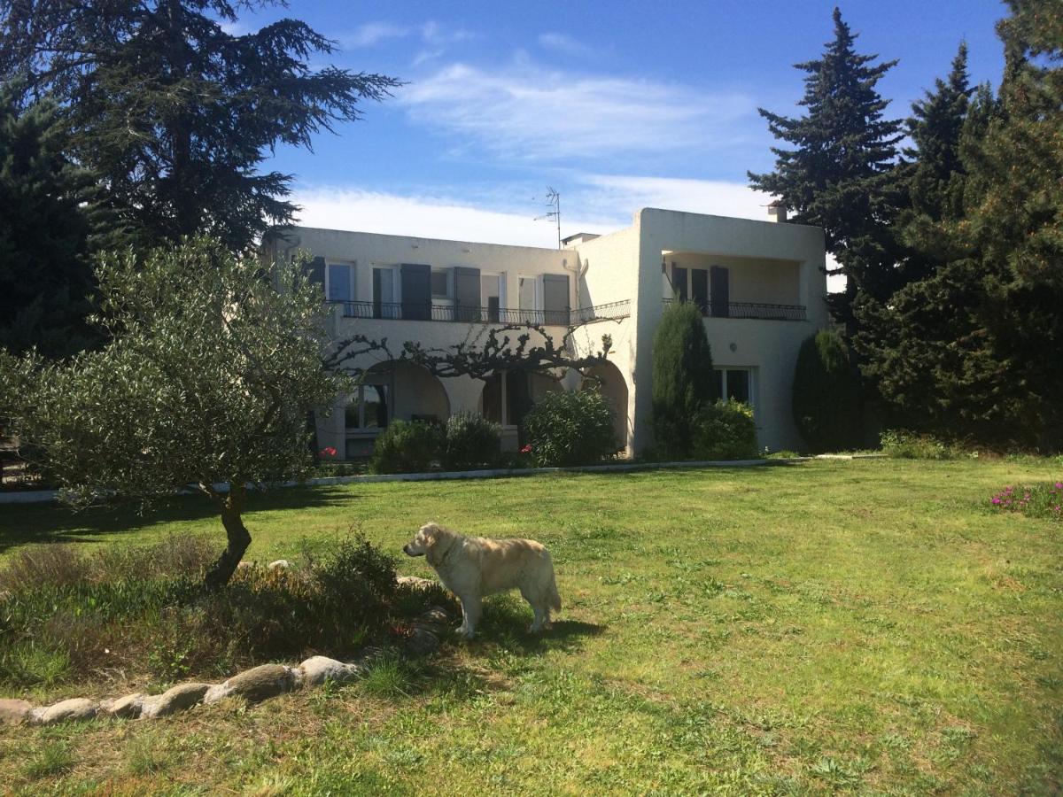 Chambre D'Hotes Villa Cote Vermeille Argelès-sur-Mer Zewnętrze zdjęcie